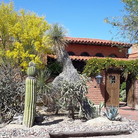 Desert Trails Bed & Breakfast Tanque Verde Exteriör bild