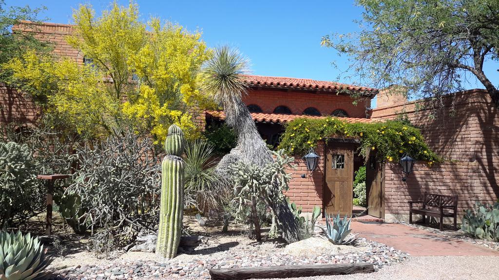 Desert Trails Bed & Breakfast Tanque Verde Exteriör bild
